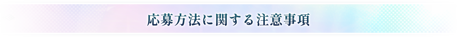 応募方法に関する注意事項