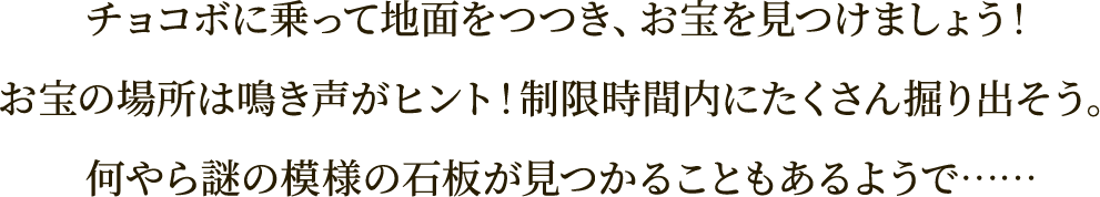 チョコボに乗って地面をつつき、お宝を見つけましょう！
お宝の場所は鳴き声がヒント！制限時間内にたくさん掘り出そう。
何やら謎の模様の石板が見つかることもあるようで……