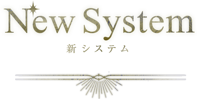 New System 新システム