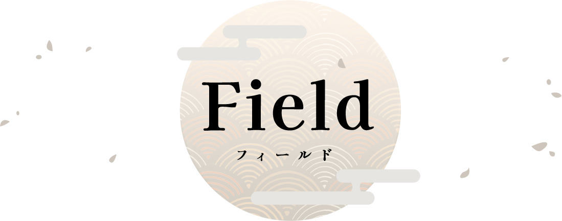 Field フィールド