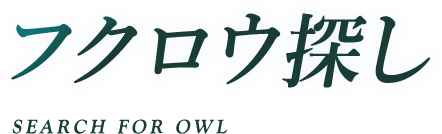 フクロウ探し SEARCH FOR OWL